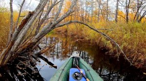 Прогулка на байдарке по Верхней Патхе в ручей Малиновый / Амурский язь (чебак) на спиннинг