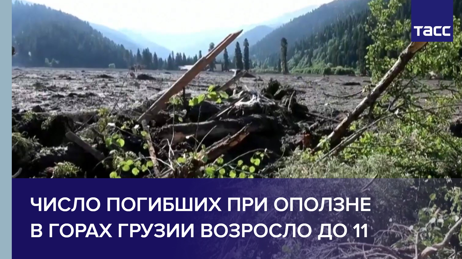 Число погибших при оползне в горах Грузии возросло до 11