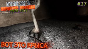 ВОТ ЭТО КРЫСА | STALKER НАРОДНАЯ СОЛЯНКА OGSR 2023 | Серия 27
