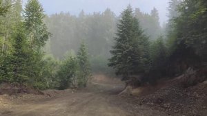 Путешествие на Дастере 29 часть