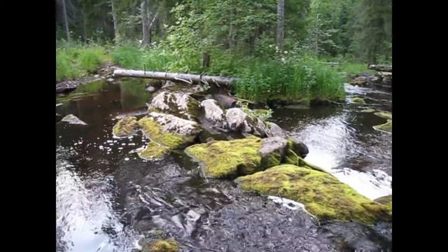 Honda XR 250 Baja 2x2, приемущества полного привода смотреть онлайн