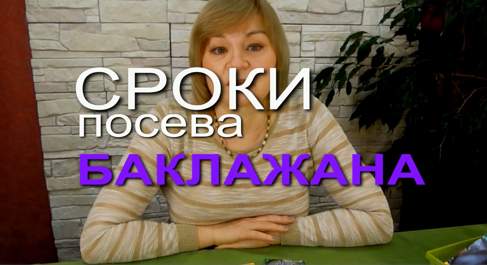 Сроки посева Баклажана!