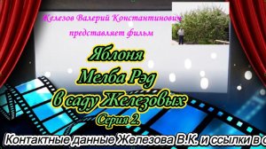 Яблоня Мелба Рэд в саду Железовых. Серия 2.
