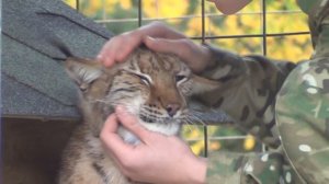 РЫСЬ СИМВОЛ СПЕЦНАЗА.В/Ч 3214 Спецназ Беларусь.