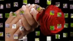 группа Садко "Я встретил розу"