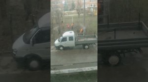 Обрезка боярышника во дворе 1