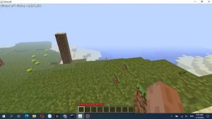 Minecraft Alpha 1.2.3_03 cheat code