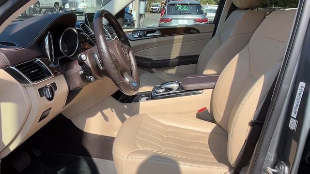 2019 Mercedes-Benz GLS Greenwich, Stamford, Darien, Port Chester, White Plains B238510B смотреть онлайн