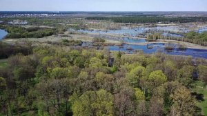 Хотылево, Брянской обл. Храм преображения. Усадьба Тенишевых. Подвесной мост.