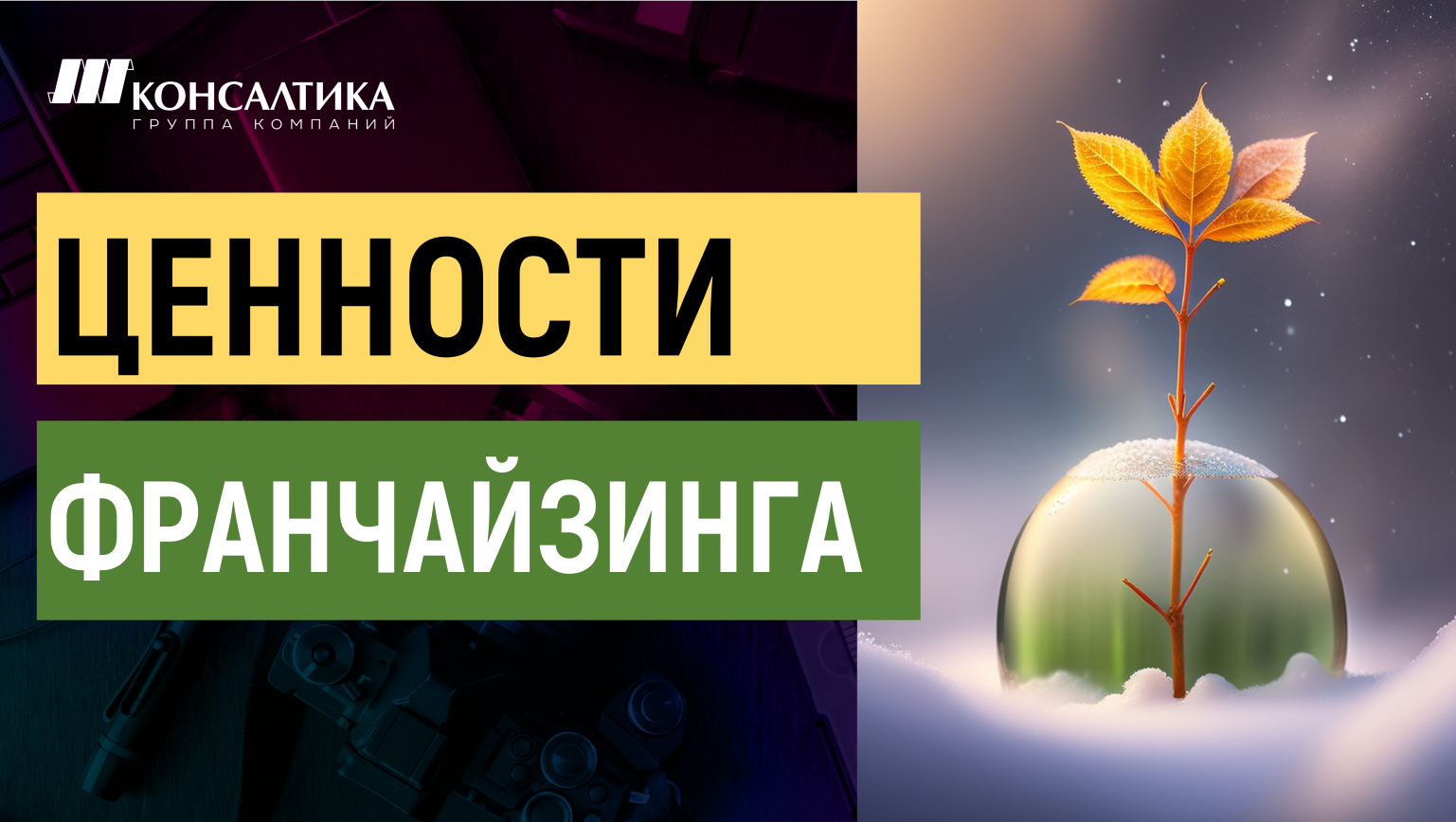 ФРАНЧАЙЗИНГ - ключевой способ МАСШТАБИРОВАНИЯ ВАШЕГО БИЗНЕСА. Зачем Вам нужно СОЗДАВАТЬ ФРАНШИЗУ