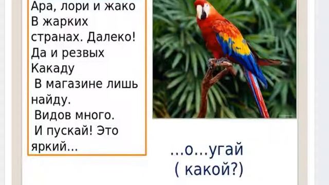 дифференциация Б П презентация