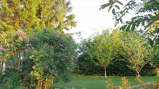 Всё кувырком. Вирус ни при чём. 20 мая смотреть онлайн