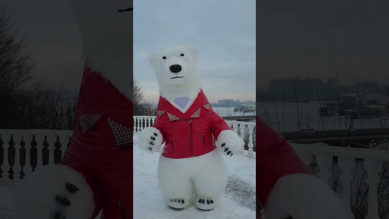 Надувной мишка в костюме Сергея Жукова поздравляет в Воронеже #костюммедведя #белыймишка