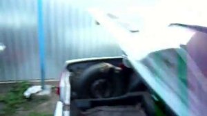 Хризантема Выращивание. Как мы возим цветы на рынок.