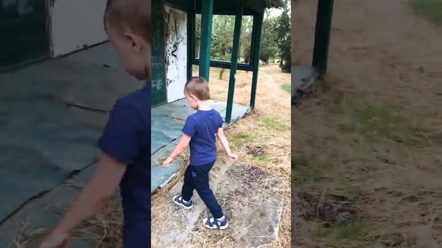 Заброшенный Коктебель, база отдыха, брошенная много лет назад, 2019 год, Крым. №1