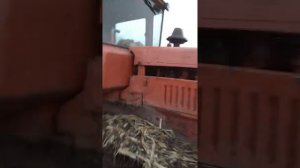 Пахота по кукурузе на ДТ 75