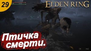 Дохлая птичка и гнилой рыцарь.#29 ELDEN RING. Прохождение.