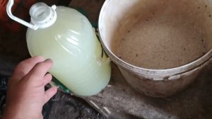 27 июня 2024 готовлюсь кормить кур, уток, гусей и индюков.