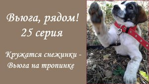 "Вьюга, рядом!" 25 серия "Кружатся снежинки - Вьюга на тропинке" new