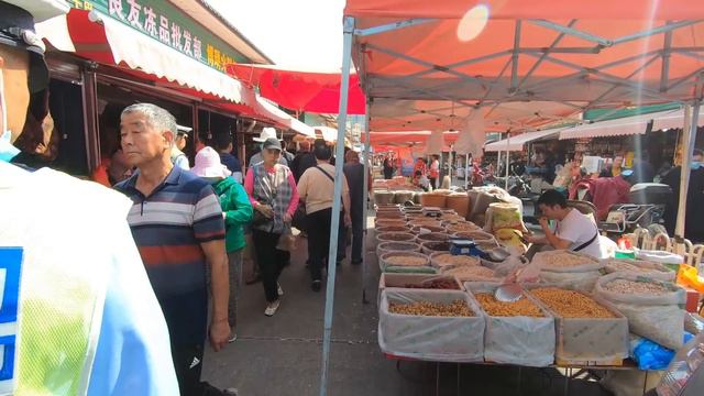 周日马街赶大集，云南人爱吃野生菌，干巴菌1500元一公斤 Yunnan people love to eat wild mushrooms