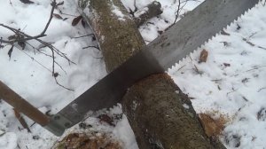 Пила Дружба-2