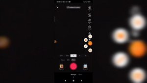 Как сделать эффект бабочек в Тик Токе? Как добавить голубые бабочки в Tik Tok?