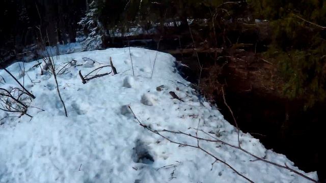 Исток Клязьмы. Часть 1. От истока Клязьмы в Майдарово.