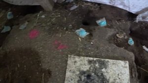 БУДНИ В СТАНИЦЕ ??? БОРЬБА В  КУРЯТНИКЕ ЗАКОНЧЕНА?  WE LIVE IN THE KUBAN???