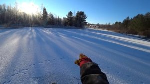 Ходовые испытания нового КАРАКАТА тип "АЛЛИГАТОР". Рыбалка по первому льду. Снаряжаю патроны к весн