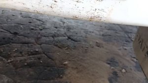 Очиститель битумных пятен 3ton в действии