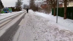 Автобус 313 маршрут Тосно Лисино Корпус Клуб