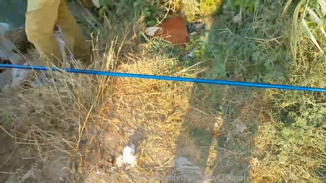 Моя Первая Рыбалка (31.07.2015) смотреть онлайн