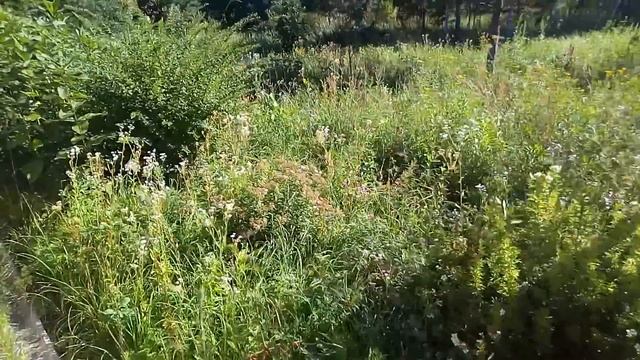 Красивое Родовое Поместье Людмилы смотреть онлайн