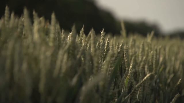 Мэддисон смотрит видосы — последний хайлайт короля смотреть онлайн