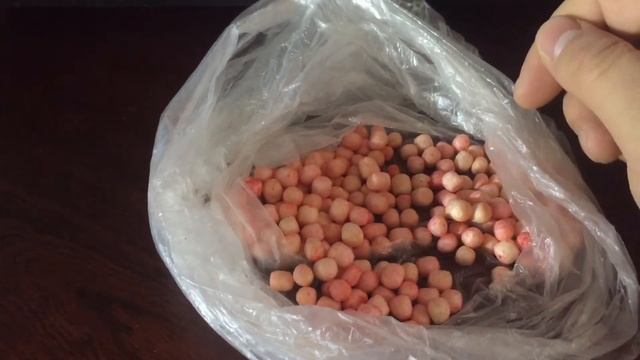 Рыбалка На ПЕНОПЛАСТ . Хорошая наживка.Как Одеть Пенопласт На Крючок смотреть онлайн