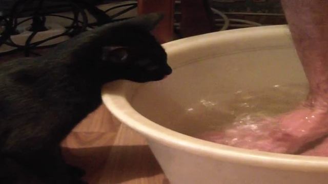 HDV 1375 соня помогает папе парить ноги. смотреть онлайн