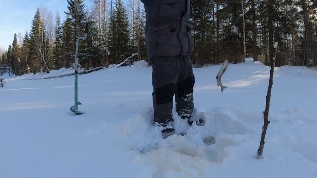 На таежной реке ловим крупного хариуса.Зимняя рыбалка в феврале на севере.Готовим чаек на костерке. смотреть онлайн