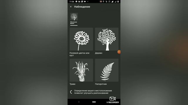 Удобный определитель растений смотреть онлайн