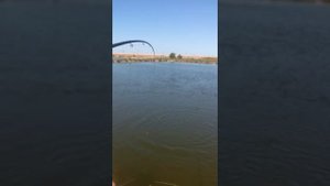 Рыбалка в Узбекистане 2016г.