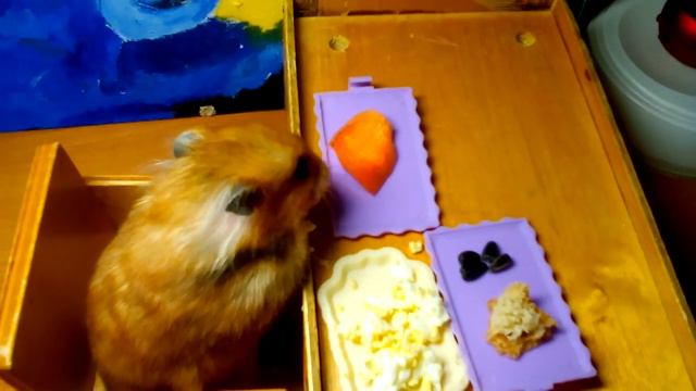 Отмечаем день рождения чернушат! смотреть онлайн