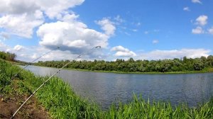Ловля карася на реке ДОН.