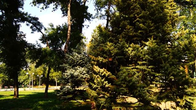 Луганск 2018. Парк им. Горького. Возрождение...