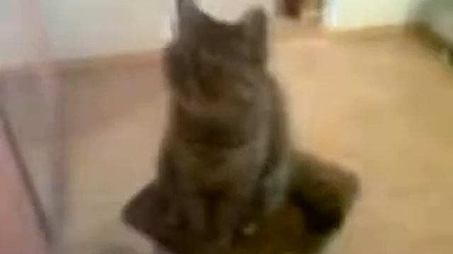 Сила музыки смотреть онлайн