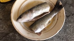 Копченая рыба в мультиварке простой и быстрый рецепт