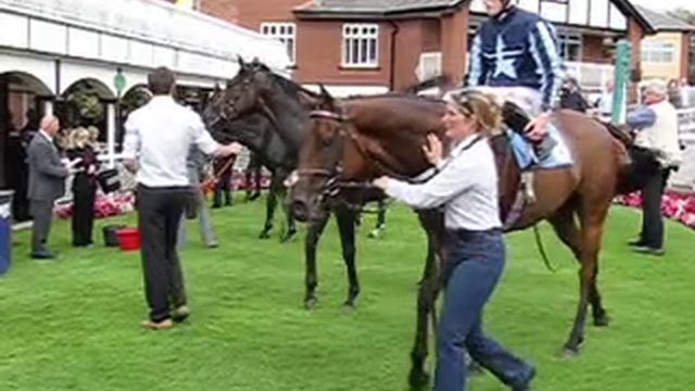 Pontefract Races Canon Powershot SX270 HS Video Test смотреть онлайн