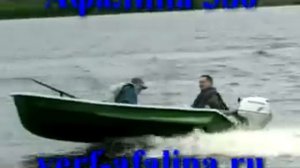 Афалина-380.avi