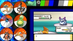 Pokemon Perl Nuzlocke #11 Nein...