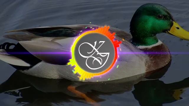 Fluffing A Duck - Kevin MacLeod (Background Music) смотреть онлайн