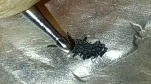 УДАЛЕНИЕ ЦАРАПИН С МОНЕТЫ