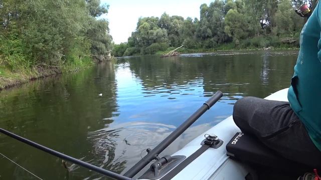 ВЕРТУШКИ ЛОВЯТ. РЫБАЛКА НА ОКУНЯ. РЕКА СЕЙМ. ЧАСТЬ 2 смотреть онлайн
